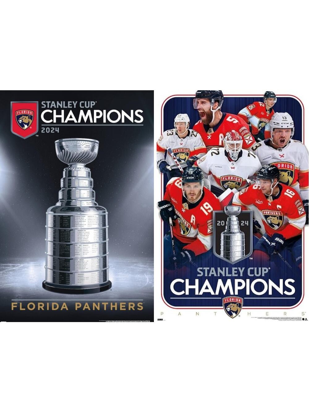 (2) NHL Florida Panthers 2024 Stanley Cup Champions Posters 34L"x 22.4" Unframed